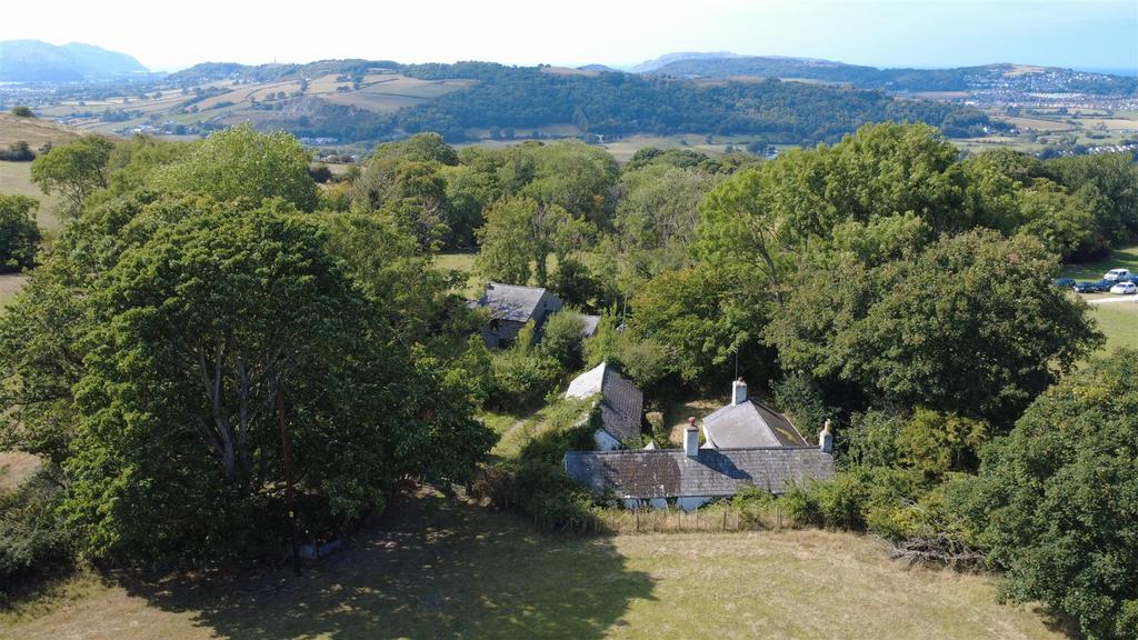 Dji 0256.jpg