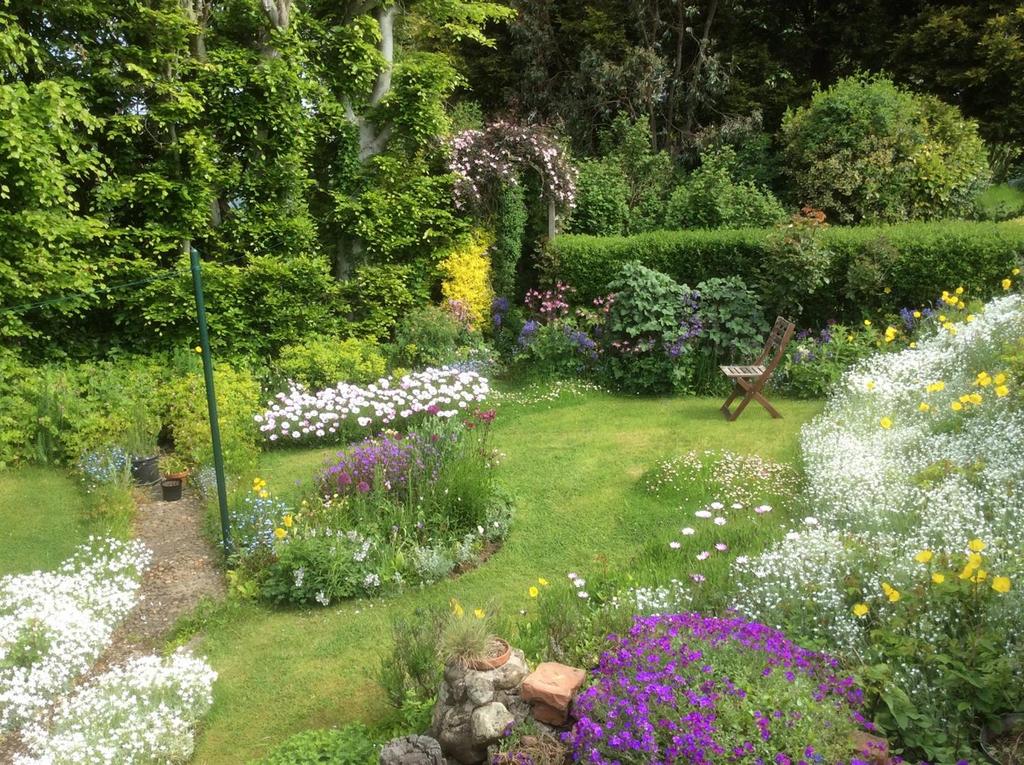 Garden: