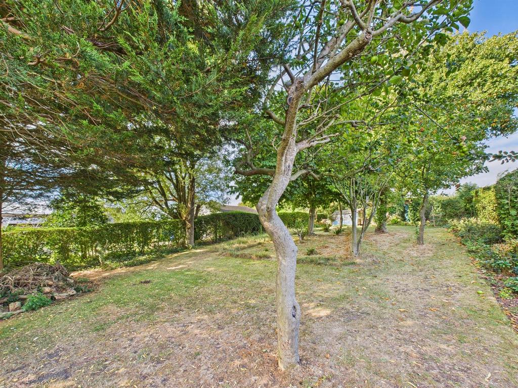 Garden: