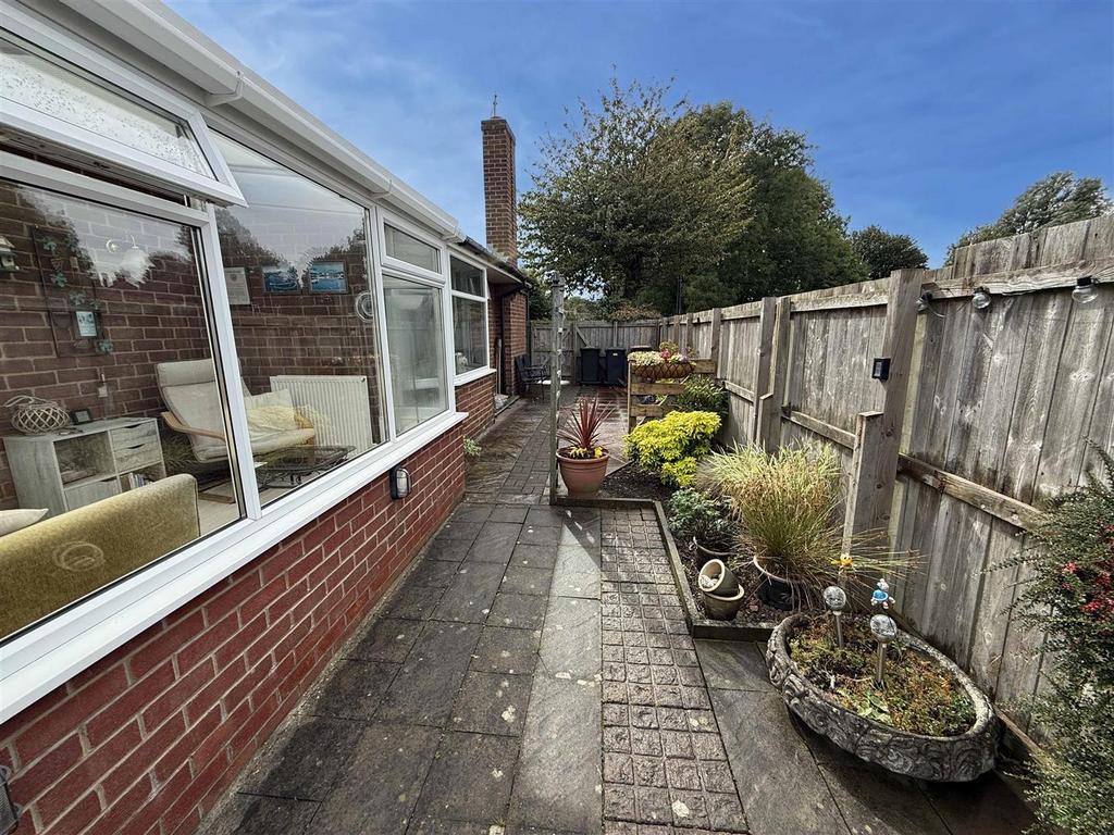 Back Garden v3.jpg