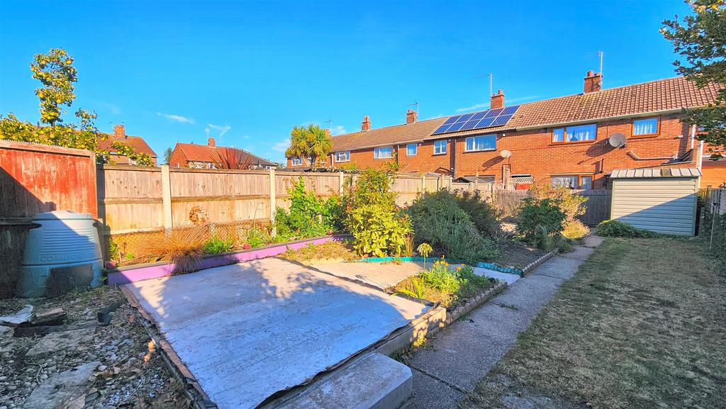 Back Garden