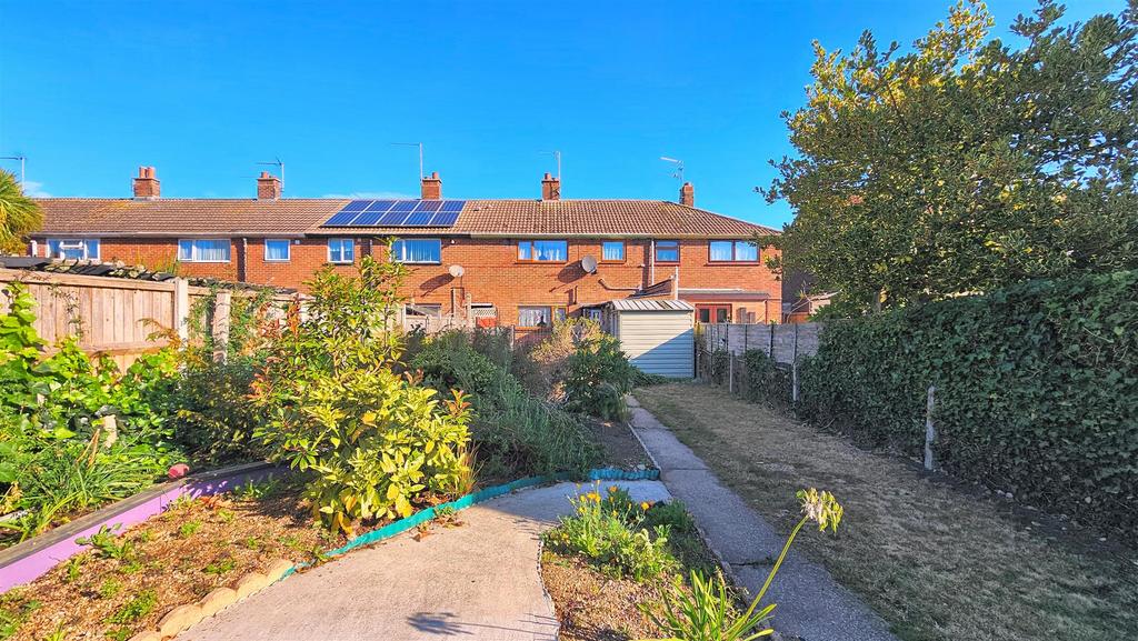 Back Garden