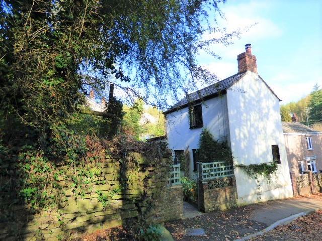 Cosy forest retreat in popular village location..