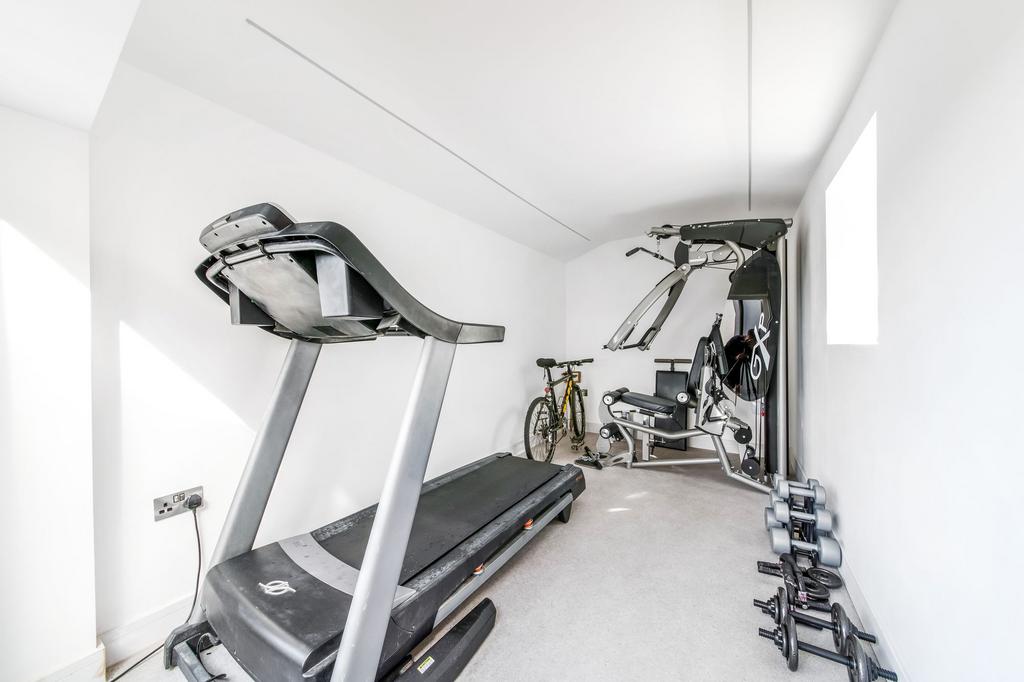 Gym/garden room