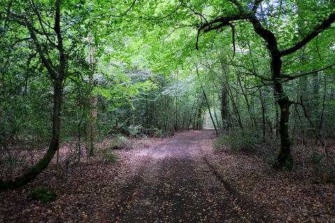 undefined, Deadman's Lane, Reading RG8