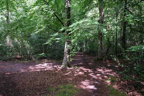 undefined, Deadman's Lane, Reading RG8