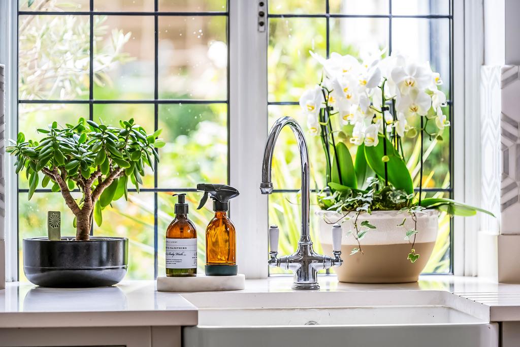 Photo 61