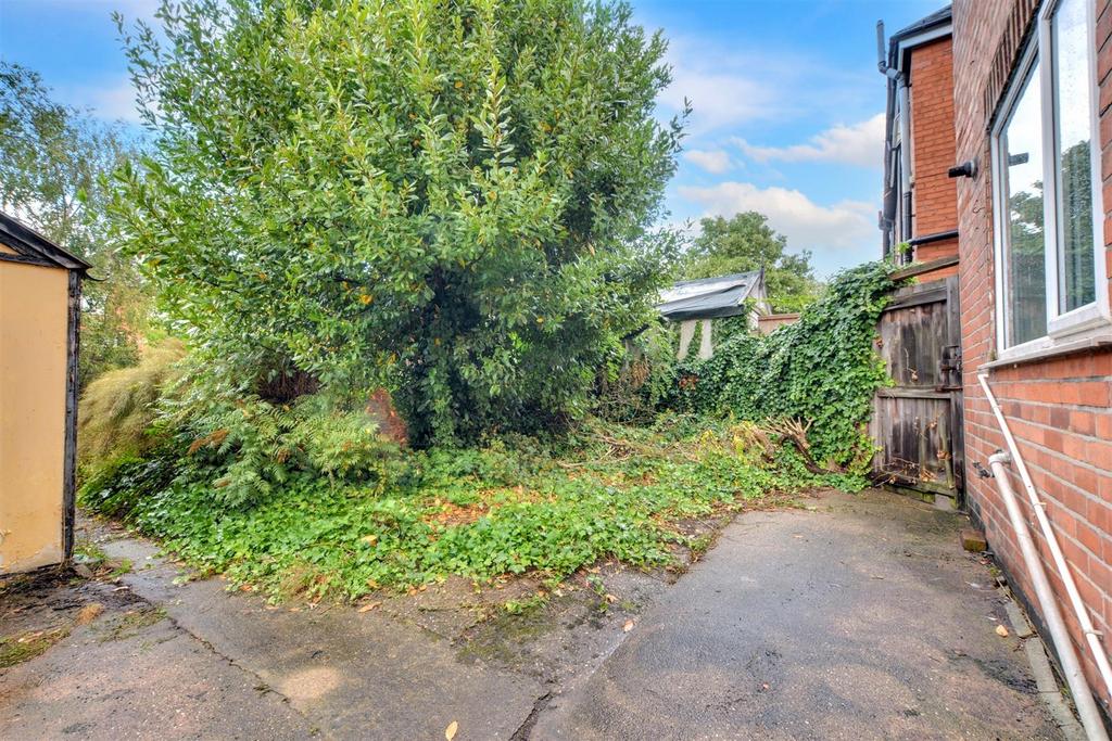 Garden 1.jpeg