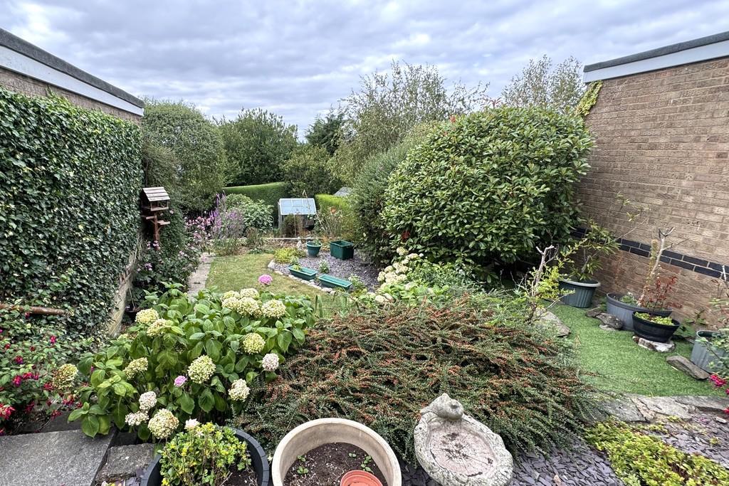Img 0257(1)