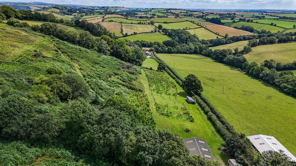 Drone View