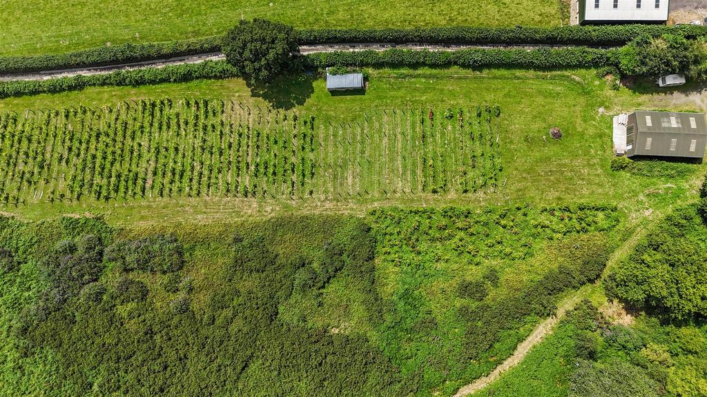 Drone View