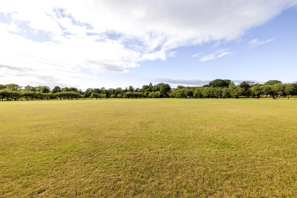 The Meadows
