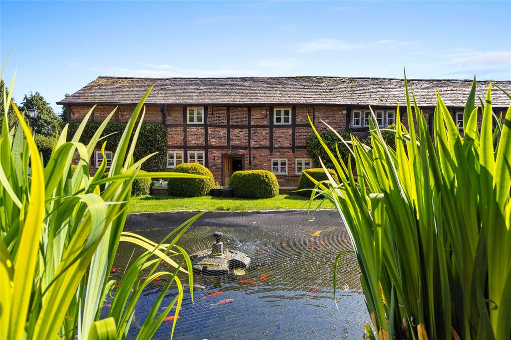 Pond