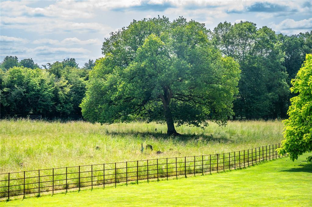 Grounds