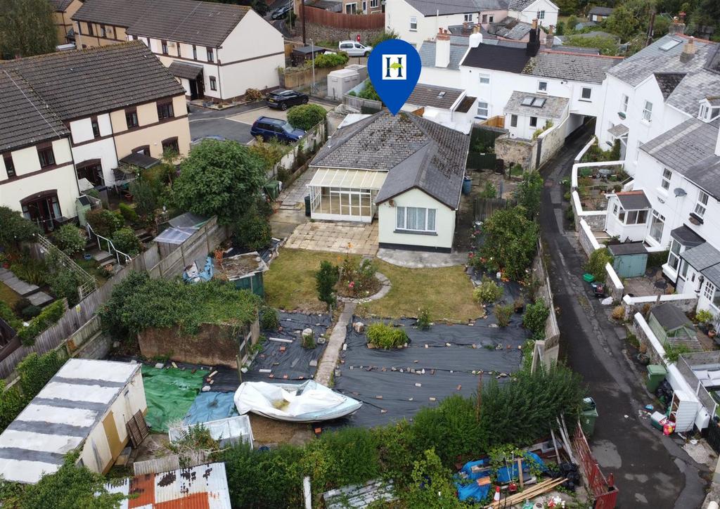 Aerial shot conifers.png