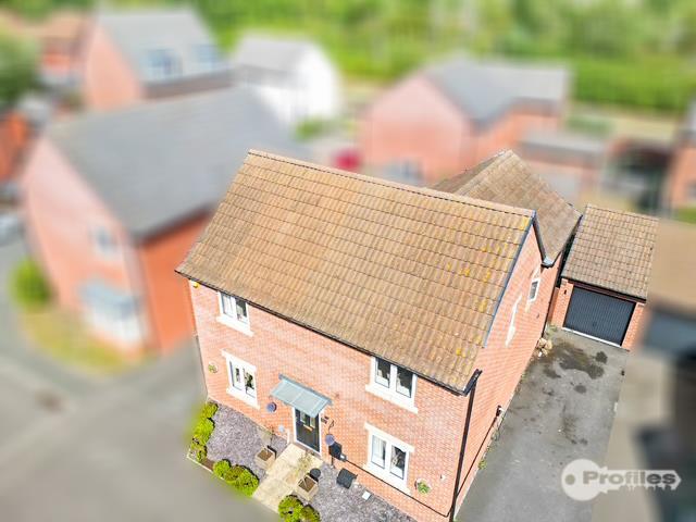 AERIAL.jpg