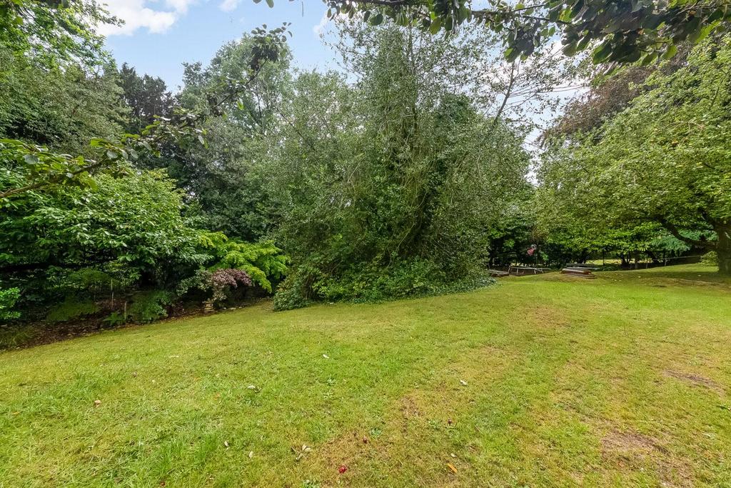 IMG 1335-1500x1000.jpg