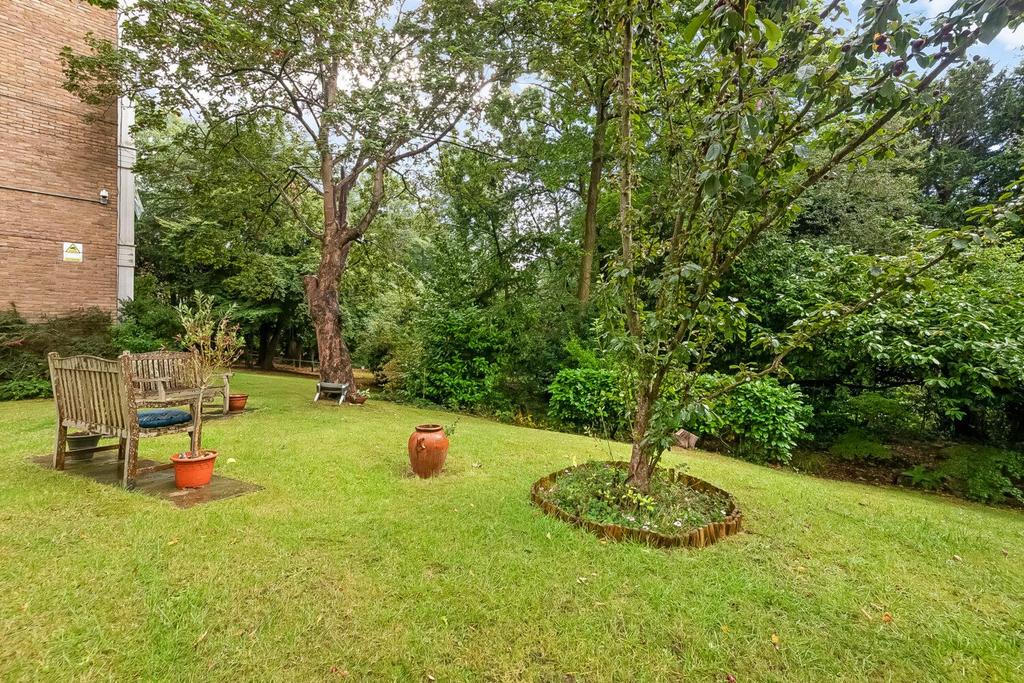 IMG 1336-1500x1000.jpg