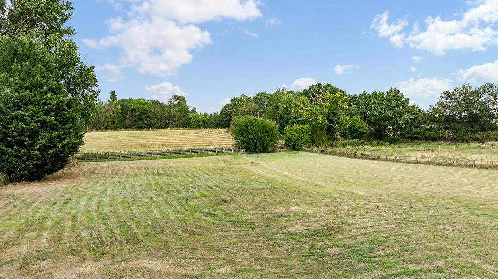 DJI 0493.jpg