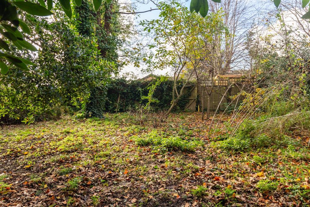Wooded Area