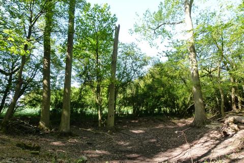undefined, Beazley Wood, Gosfield CO9