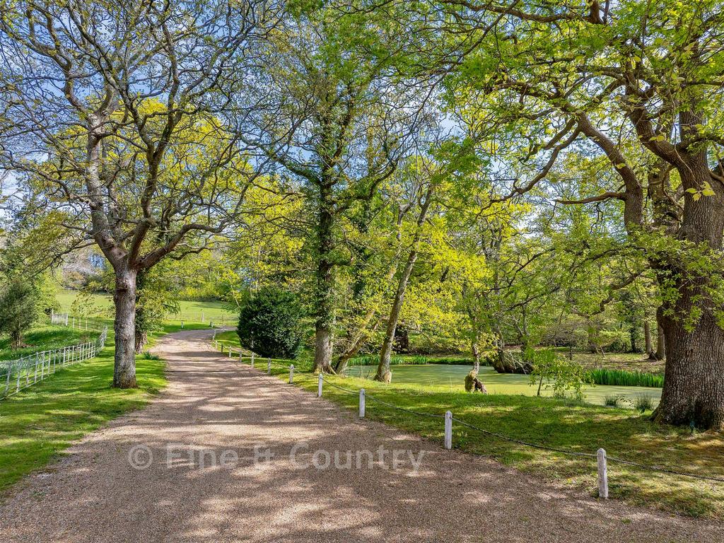 Driveway