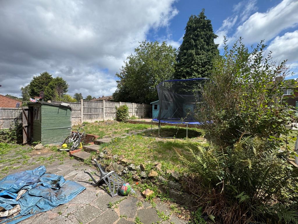 Back Garden