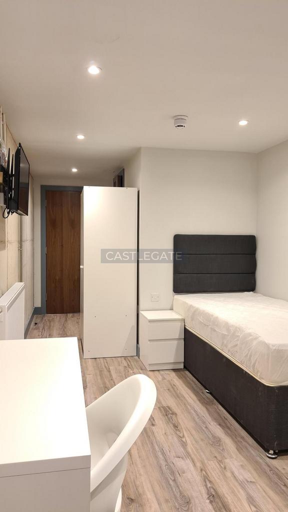 Renanissance Works Room 14 (2)