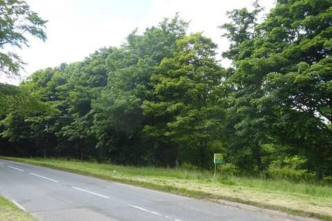 undefined, Artamford Wood, New Deer AB53