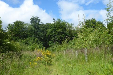 undefined, Artamford Wood, New Deer AB53
