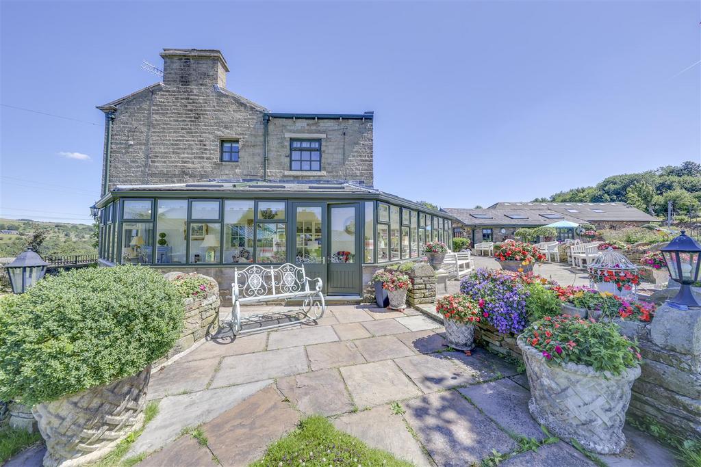 Rear Patio
