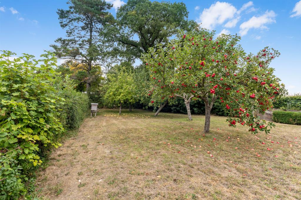Orchard