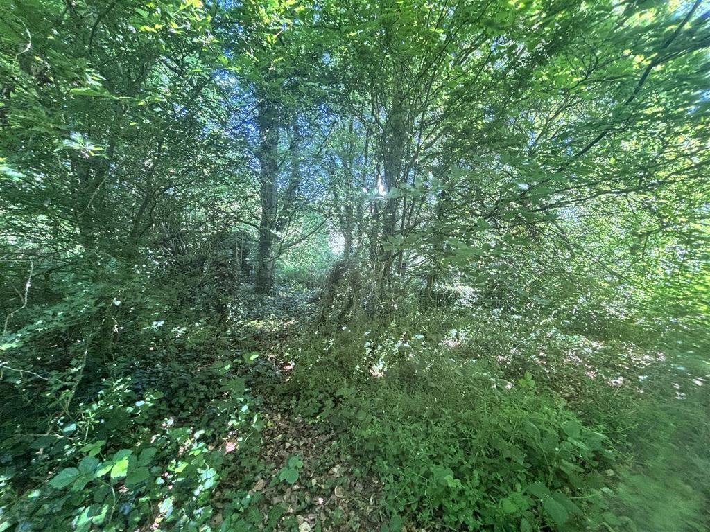 IMG 7535.jpeg