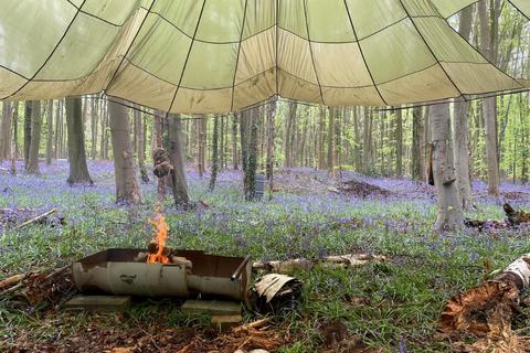 undefined, Badger Wood, Thorpe Salvin, near Sheffield S80