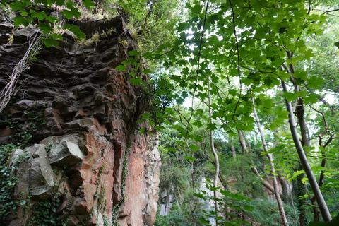 undefined, Bickley Quarry Wood, Hanham Mills, Bristol BS15