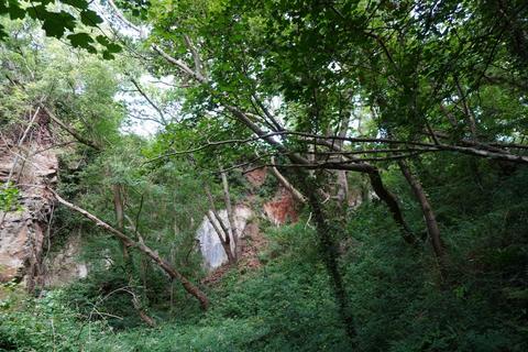 undefined, Bickley Quarry Wood, Hanham Mills, Bristol BS15