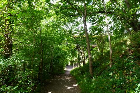 undefined, Bickley Quarry Wood, Hanham Mills, Bristol BS15