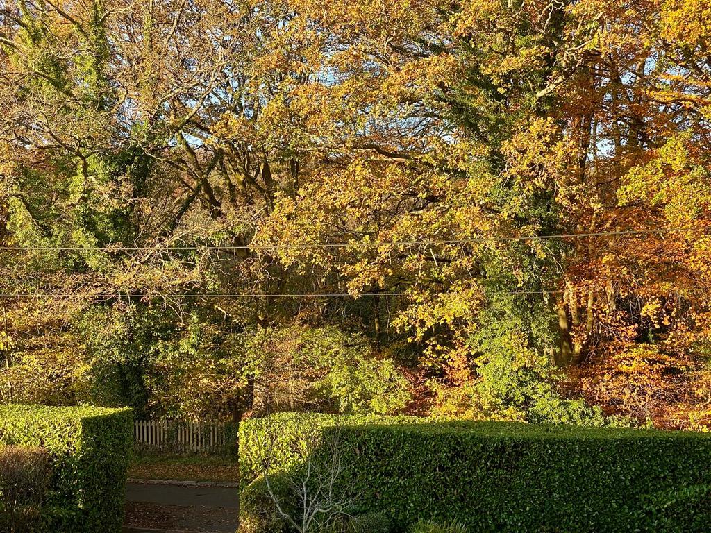 Front View From Bedrooms