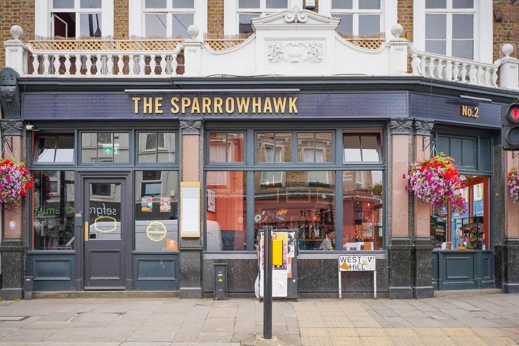 Sparrow Hawk 3.jpg
