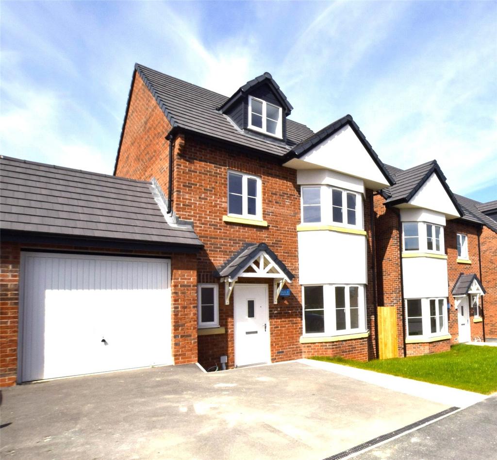 Plot 5