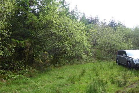Woodland for sale, Caluna Wood, Ffostrasol SA44