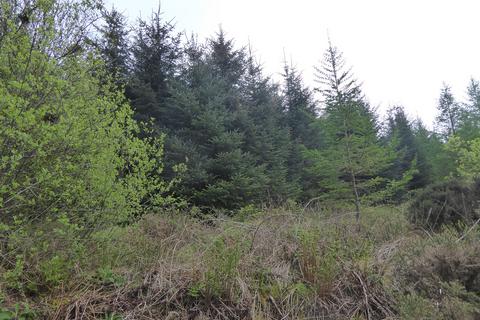 Woodland for sale, Caluna Wood, Ffostrasol SA44
