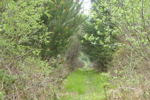 Woodland for sale, Caluna Wood, Ffostrasol SA44