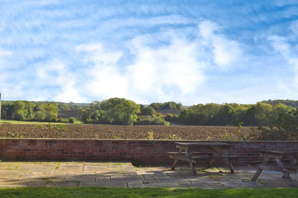 Rear Patio 2