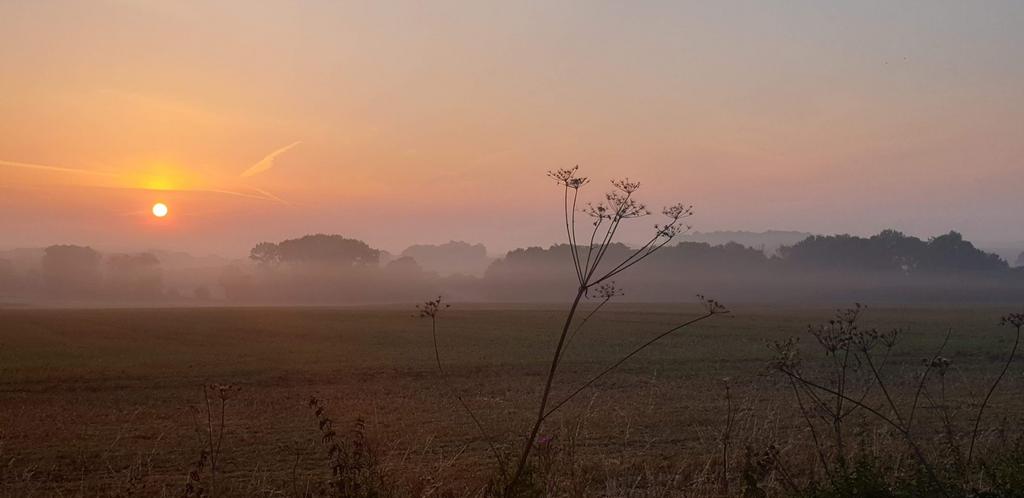 Rear View Sunrise