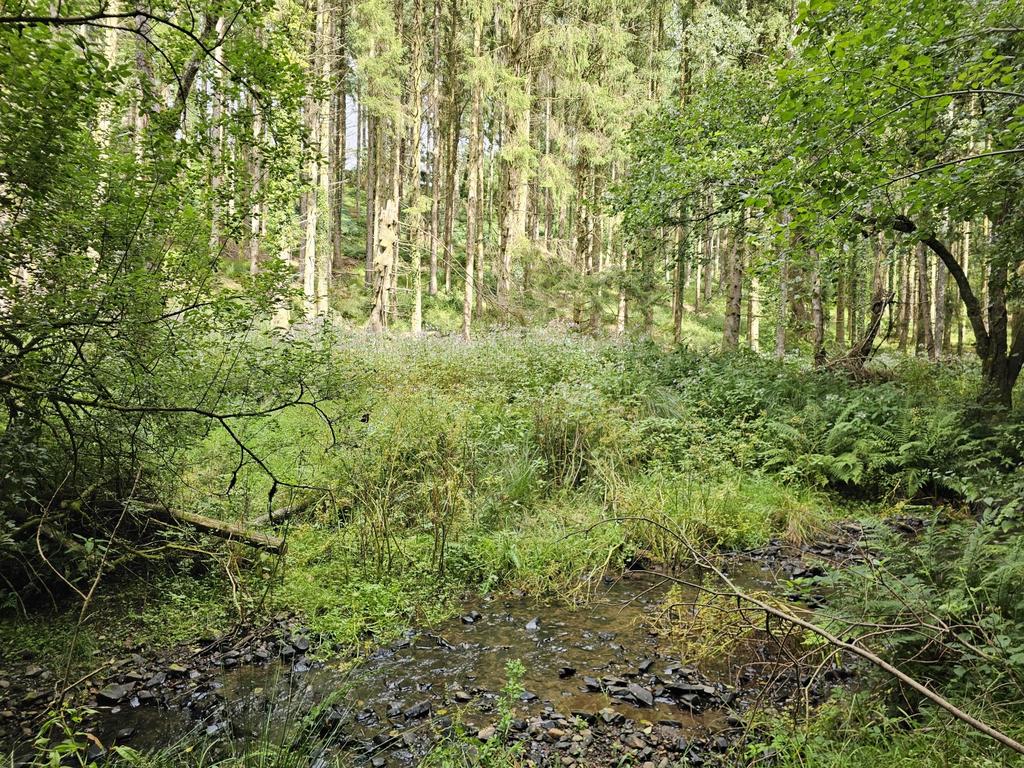 Heathcote Wood