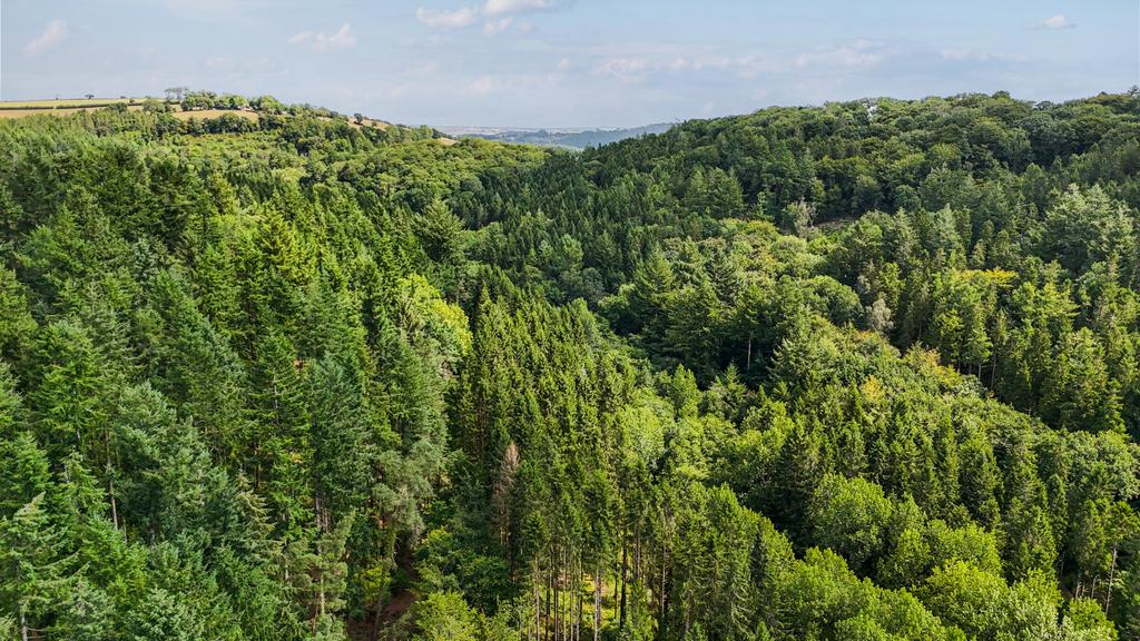Heathcote Wood