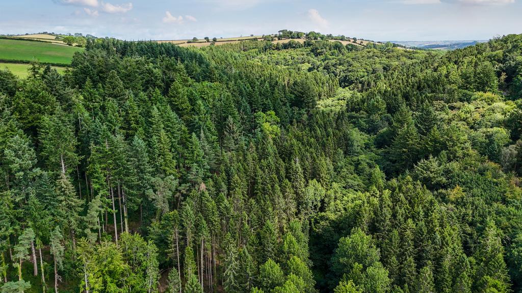 Heathcote Wood