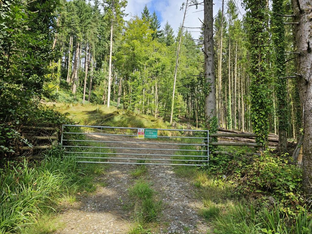 Heathcote Wood
