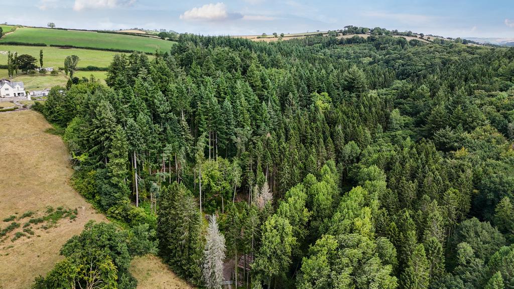 Marley Wood